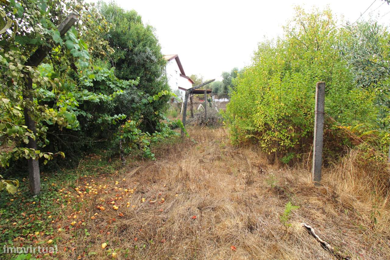 Quinta com 8.000 m² a apenas 10 km do centro de Viseu-31