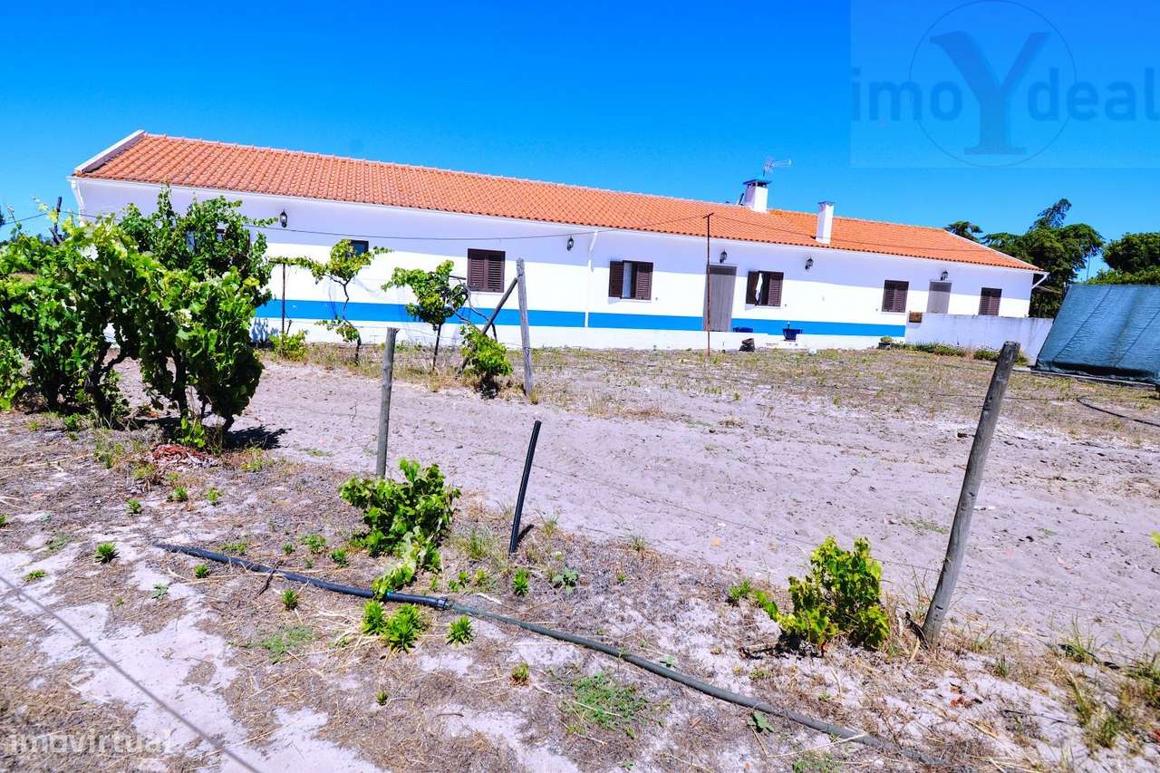 O paraíso no Alentejo-0