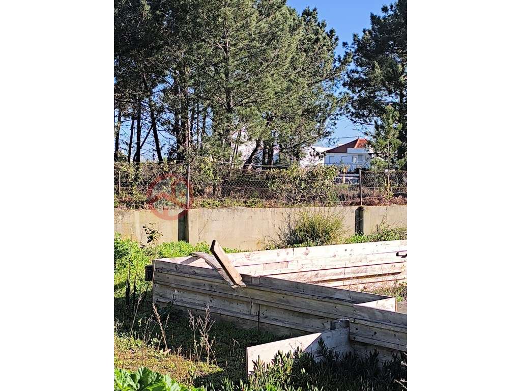 Construa a Casa dos Seus Sonhos nos Redondos em Fernão Ferro! - Grande imagem: 2/15