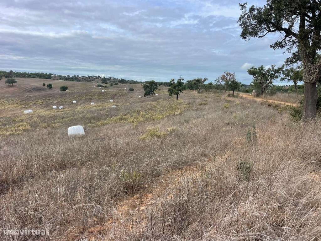 Monte Típico Alentejano para Reabilitar - Santiago do Cacém-13
