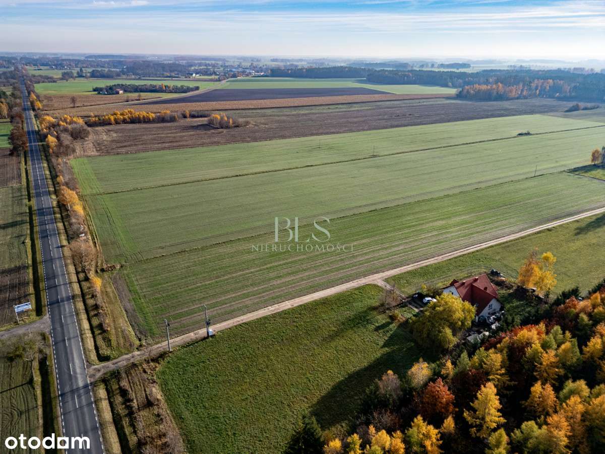 Działka z WZ pod siedlisko – Pniewo, gm. Nasielsk-2