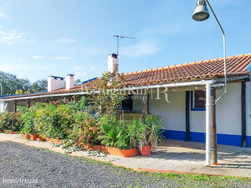 Quinta de 5 hectares, com 2 moradias e piscina-43