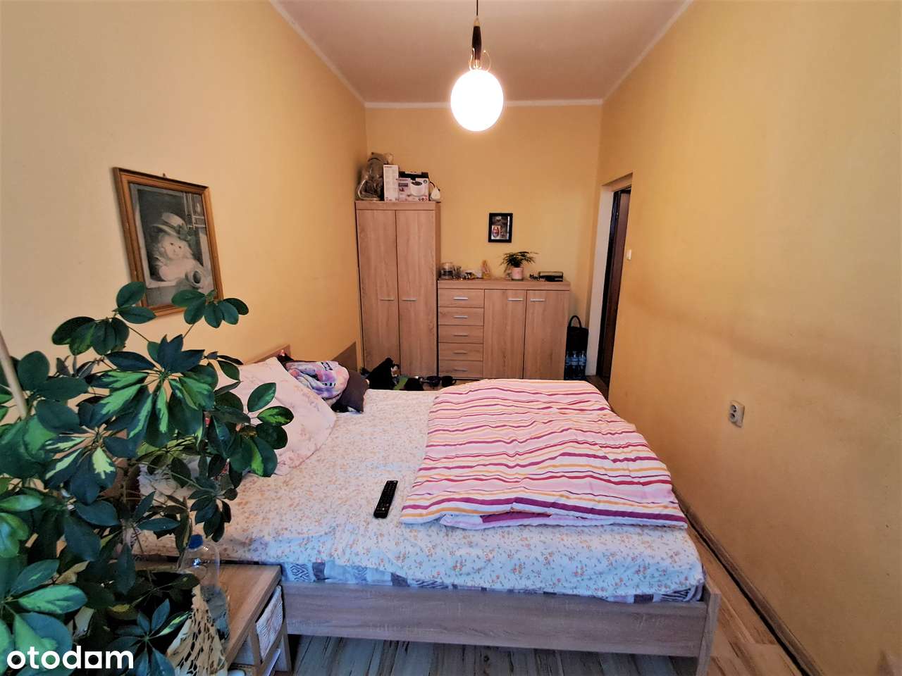 Mieszkanie, 43,68 m², Szczecin-4