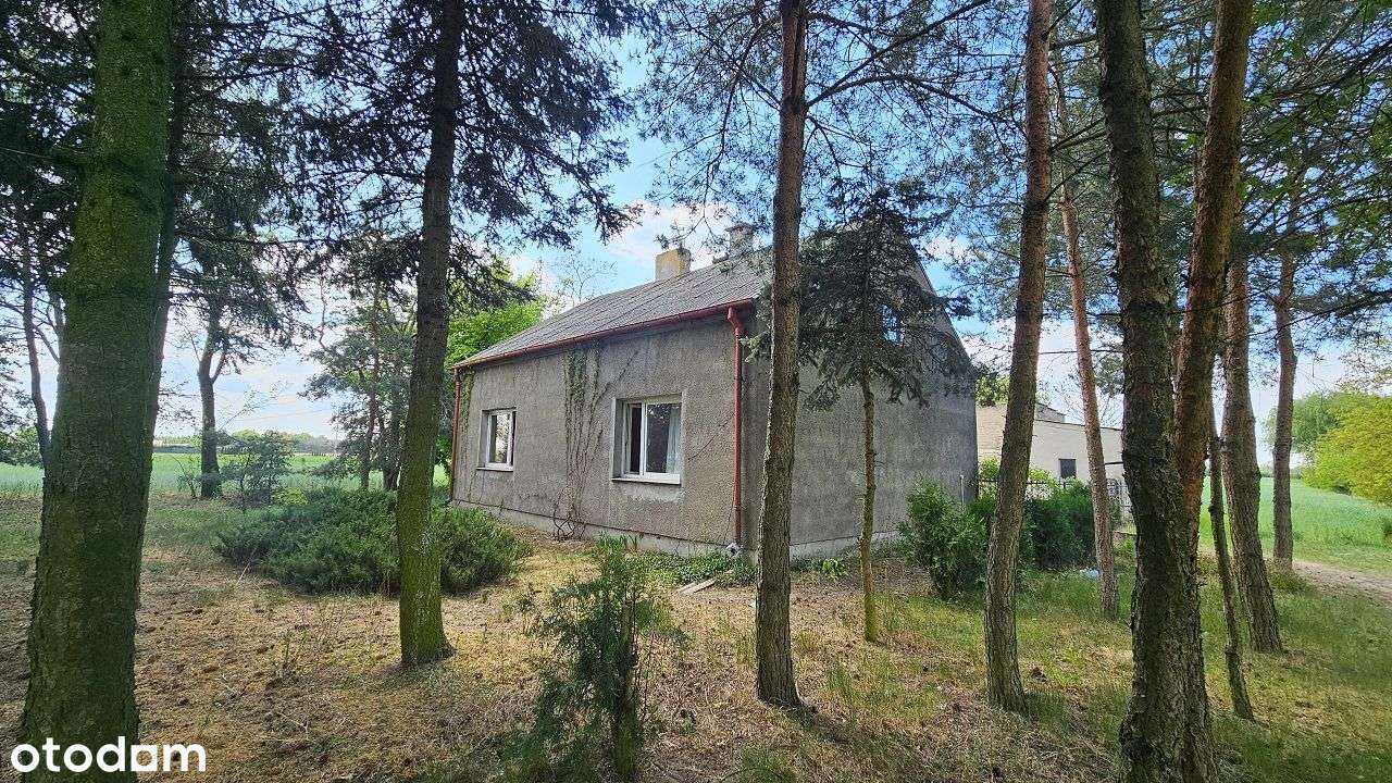 Siedlisko z potencjałem – Piotrków Kujawski, możliwość podziału-2