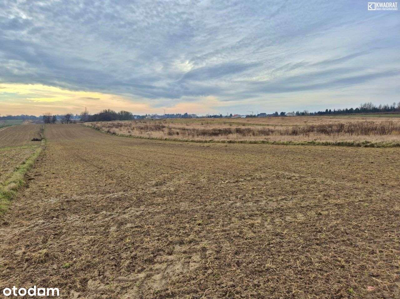 Działka budowlana 50 ar Dys - Pełny obrazek: 2/2