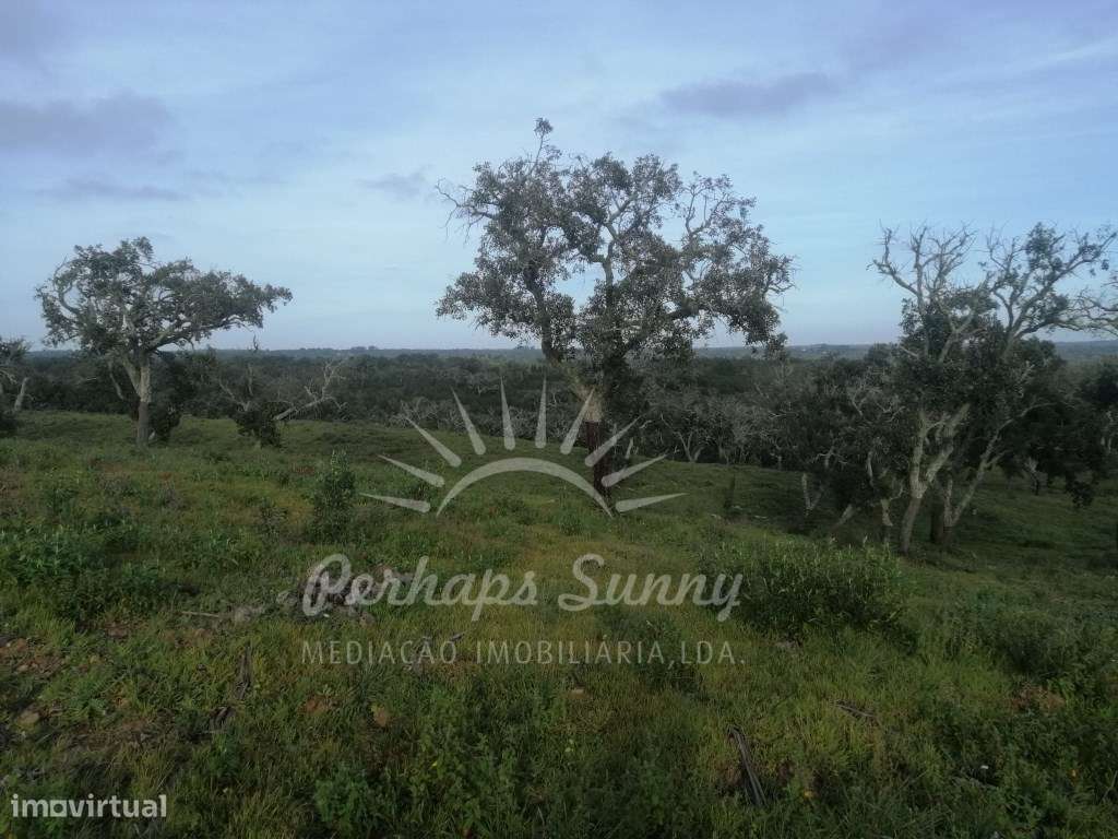 Terreno Rustico São Francisco da Serra - Grande imagem: 5/12