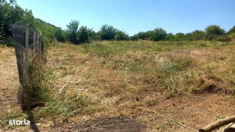 Teren Ganeasa, langa lac, 3 loturi 680 mp - Imagine principală: 5/8