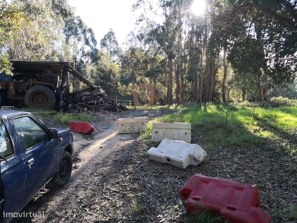 Oportunidade terreno para construir - Gondemaria - Grande imagem: 4/5