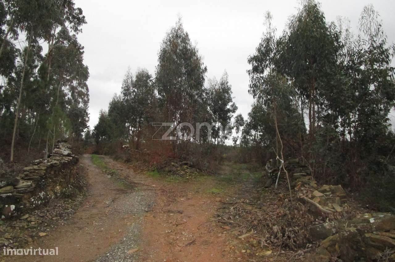 Terreno rústico com 15500 M2 em Famalicão - Grande imagem: 4/15