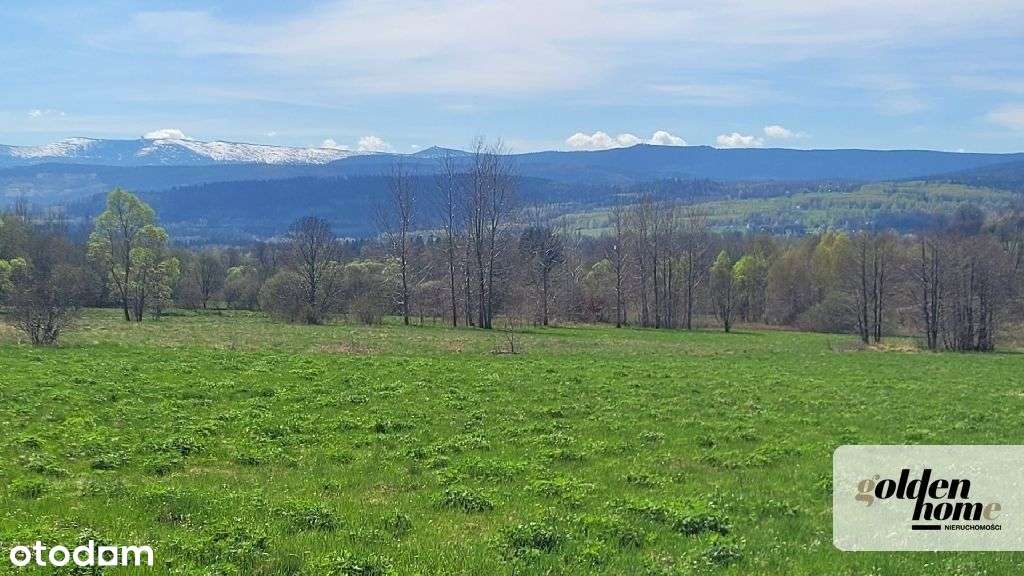 Działka, 8 000 m², Grudza - Pełny obrazek: 5/9