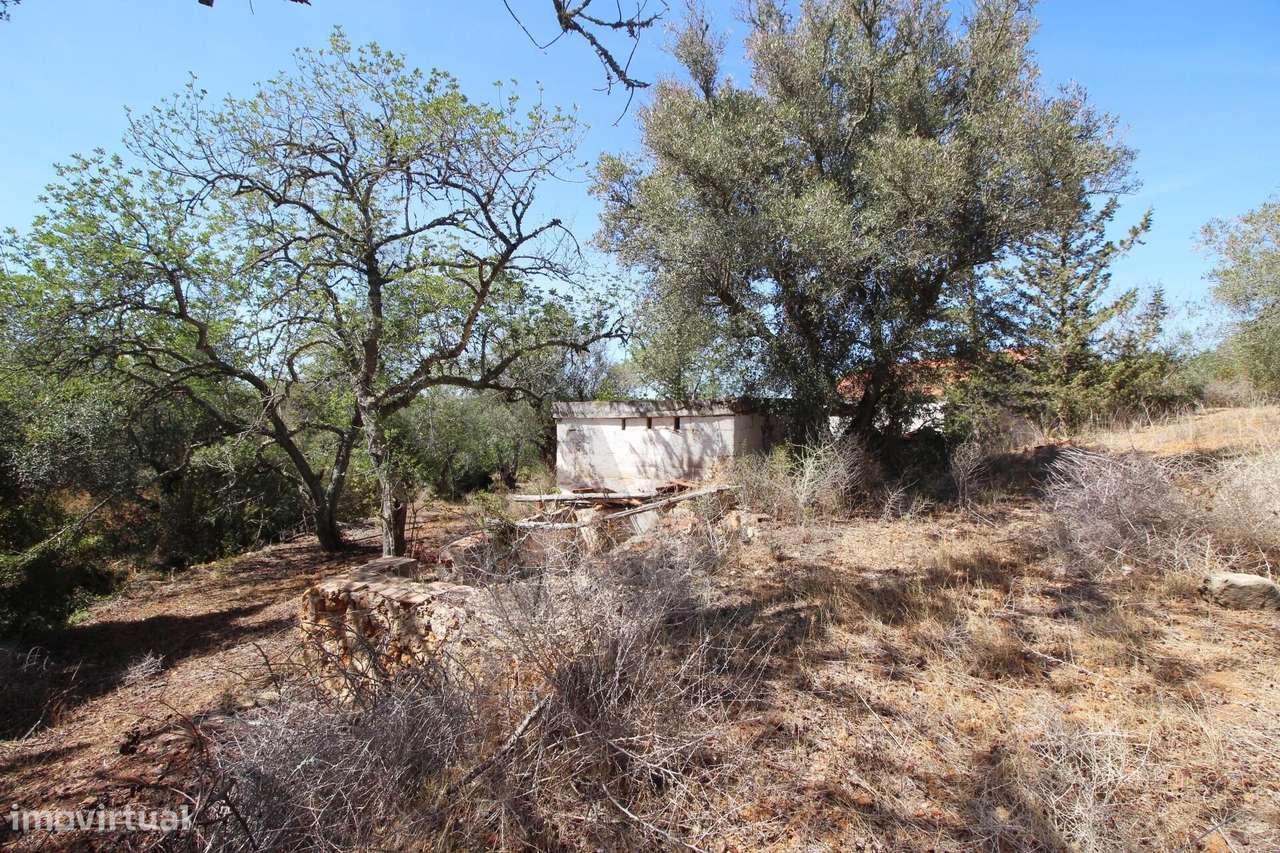 TERRENO COM RUÍNA, VALE DE MARGEM, PÊRA, SILVES - Grande imagem: 5/30
