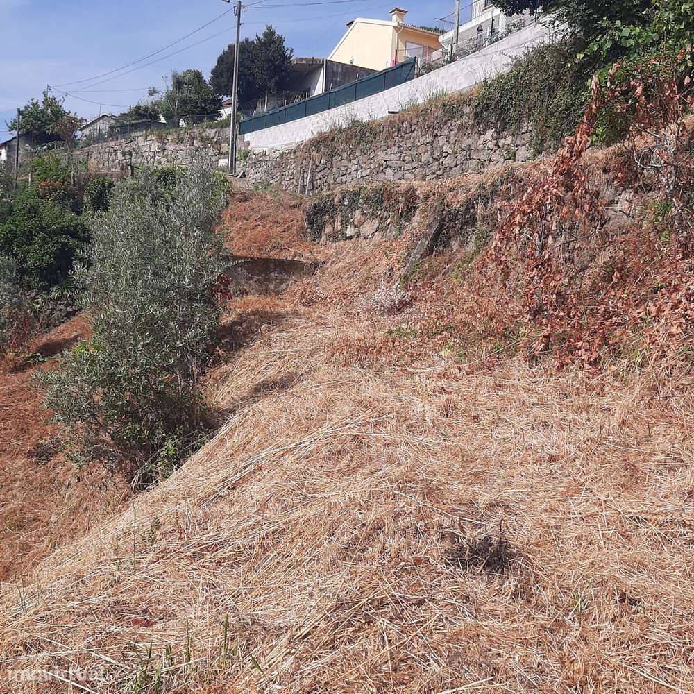 Casa em pedra para reconstruir Canelas Penafiel-18