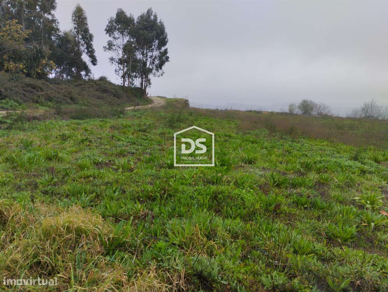 Terreno  Venda em Figueiró (Santiago e Santa Cristina),Amarante-11