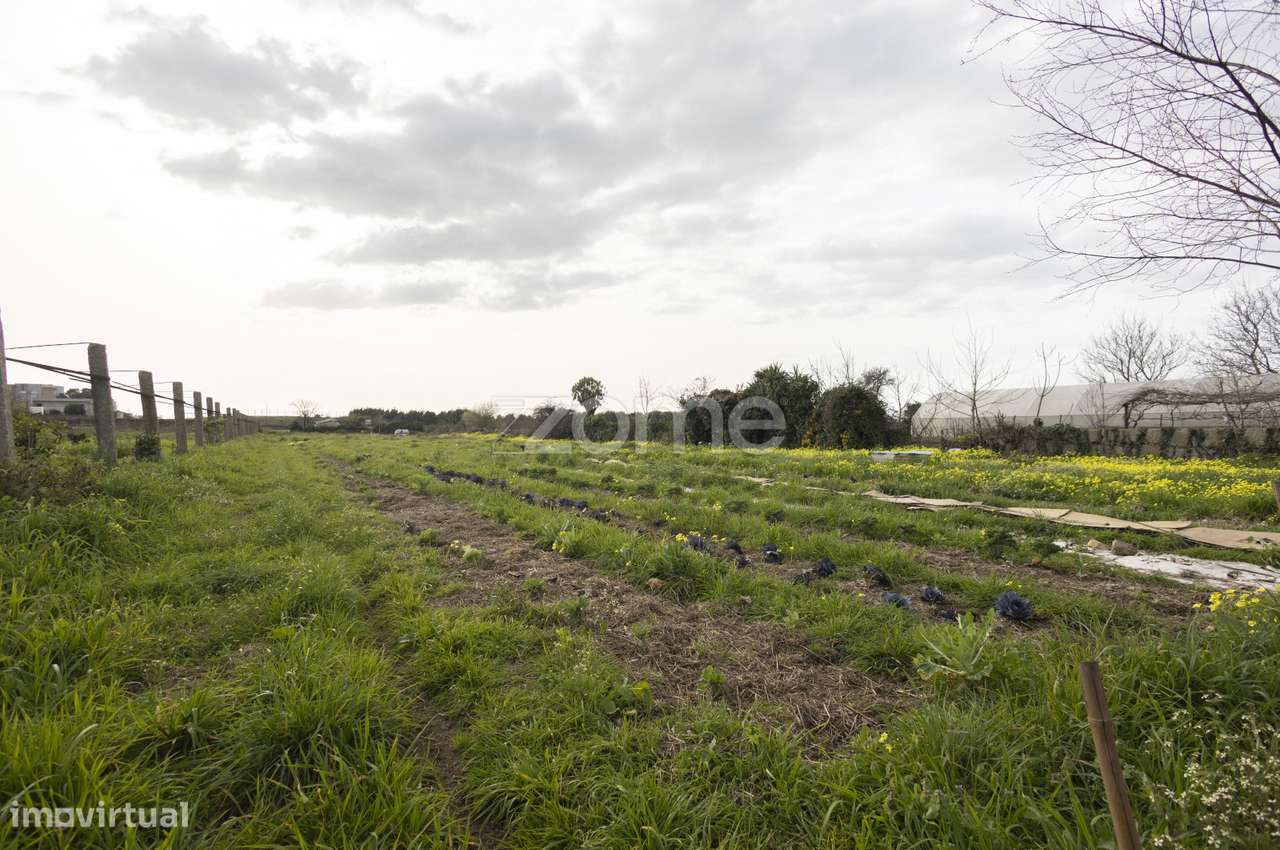 Terreno misto com projeto para habitação e agro-turismo - Grande imagem: 3/17
