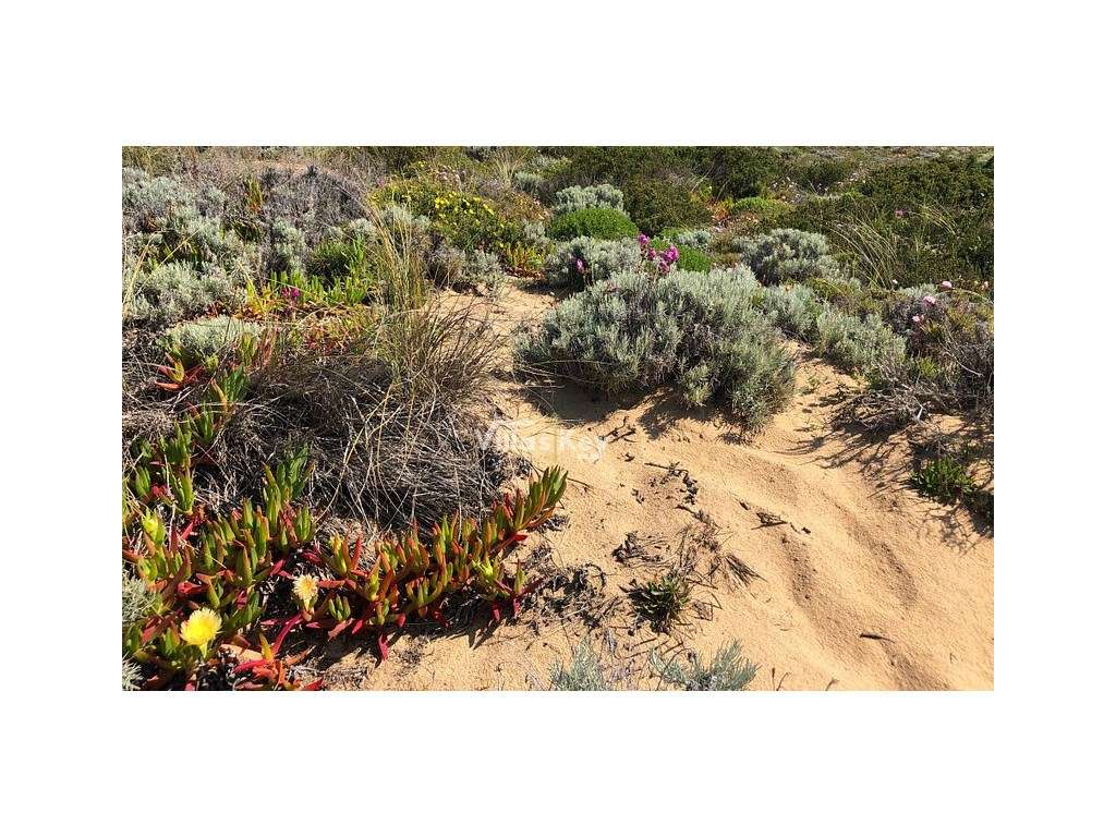 Moderno Apartamento de Tipologia T3 com piscina privada em Mexilhoe...-11