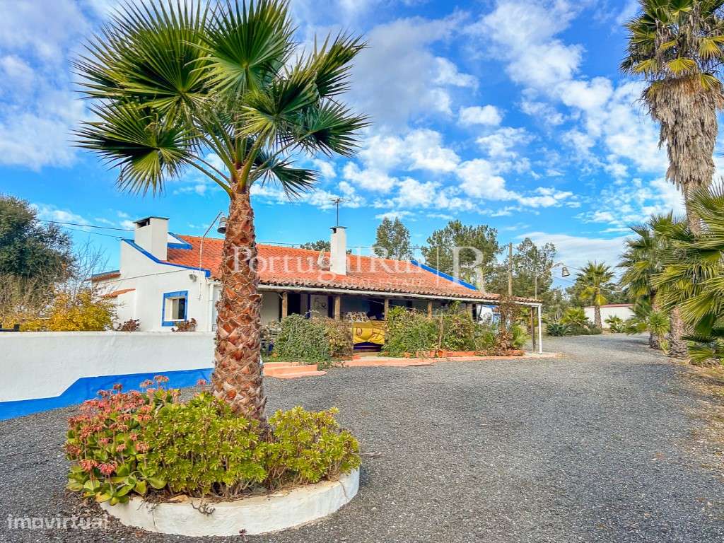 Quinta de 5 hectares, com 2 moradias e piscina-28