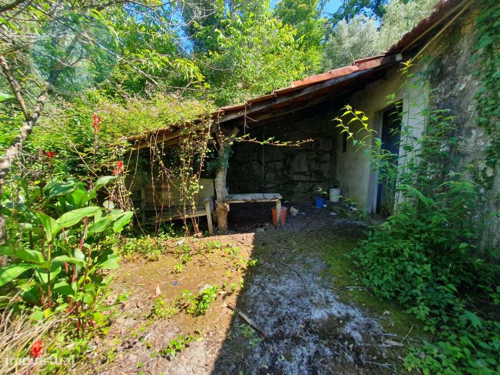 Quinta à venda para restauro em Arroteia freguesia de Rossas-20