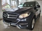 Mercedes-Benz GLE 250 d 4MATIC - 5