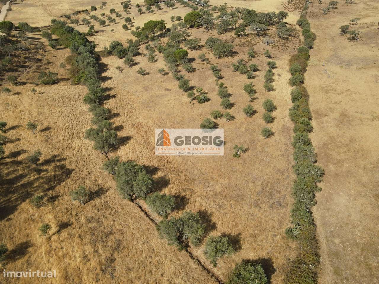 Terreno  Venda em Santa Clara-a-Nova e Gomes Aires,Almodôvar-9
