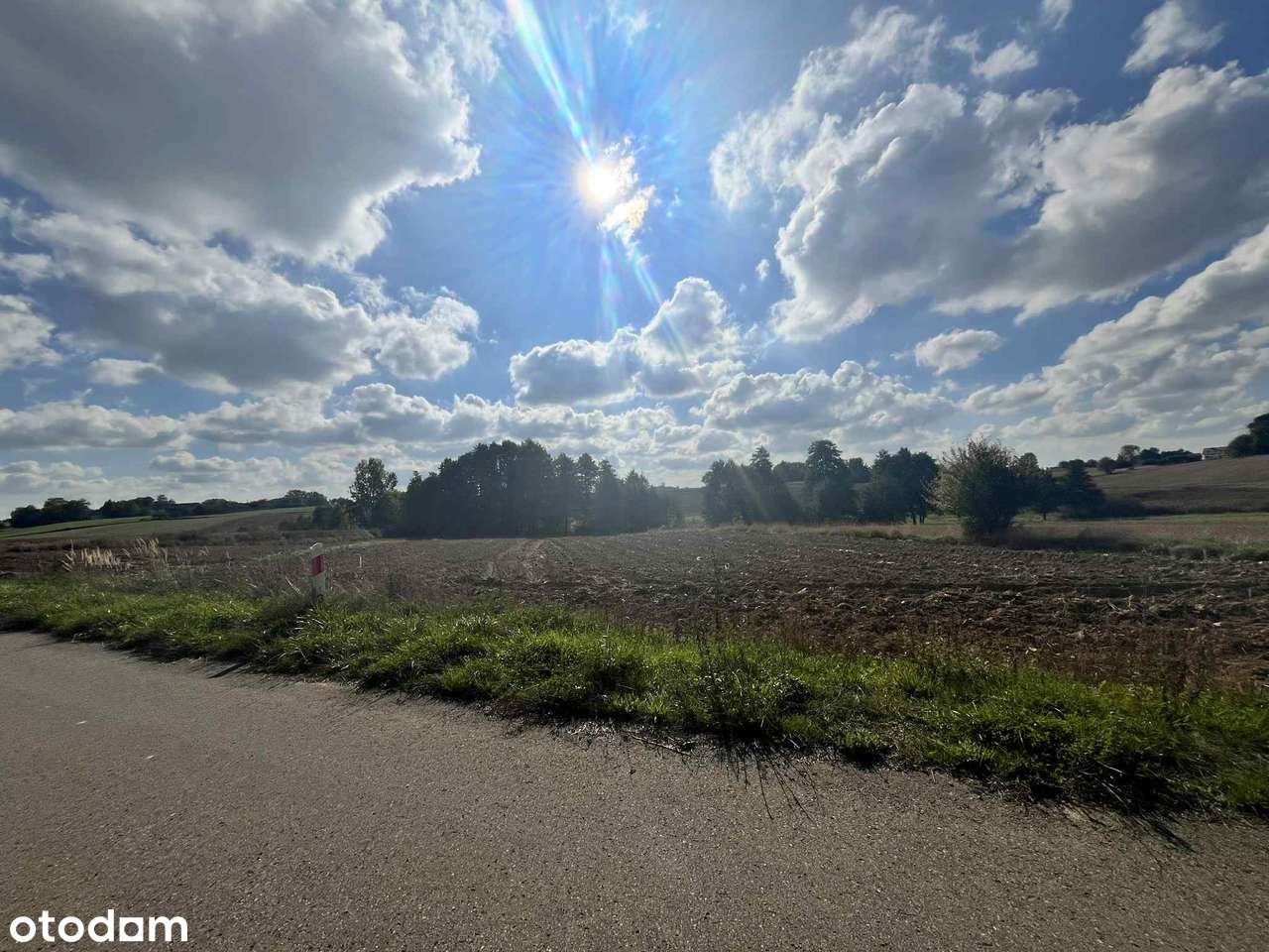 Działka rolna  – Panieńszczyzna, gm. Jastków- 12 850 m²-7