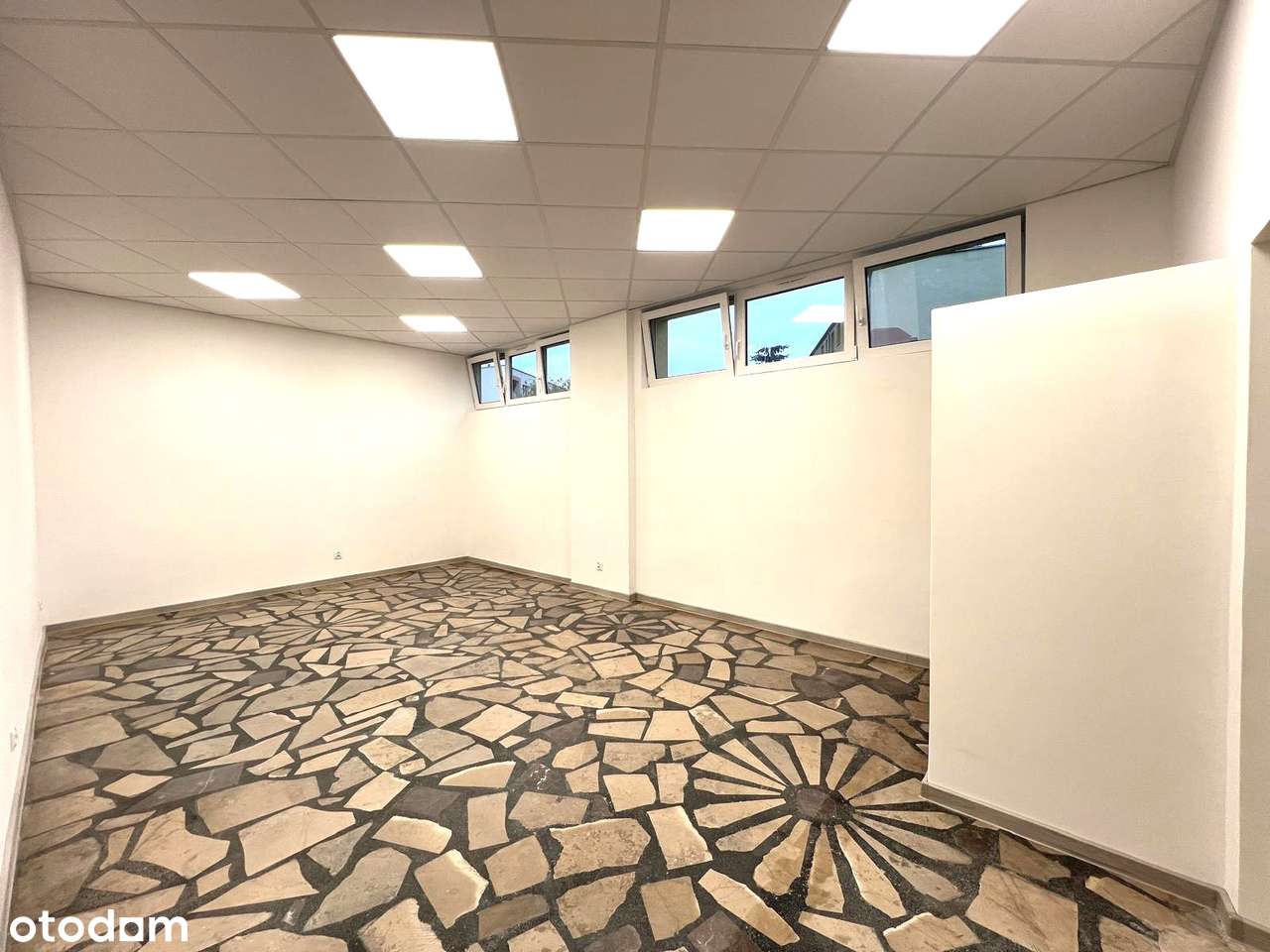 Lokal usługowy po remoncie 169m2,  parking, witryna, winda towarowa-6