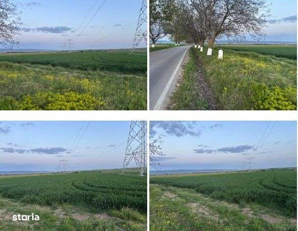 Teren cota parte 1/6 Paunesti, ID: R2547851 - Imagine principală: 4/6