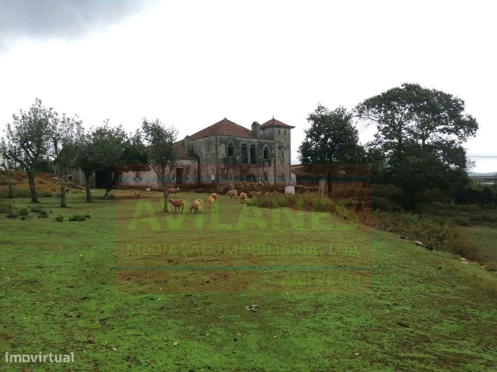 QUINTA - GIÃO-6