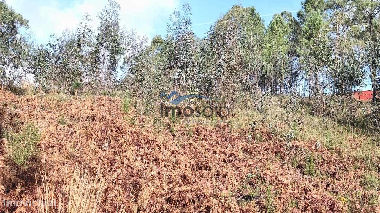 Terreno Rústico com 6350 m² em Zona Industrial - Grande imagem: 5/9