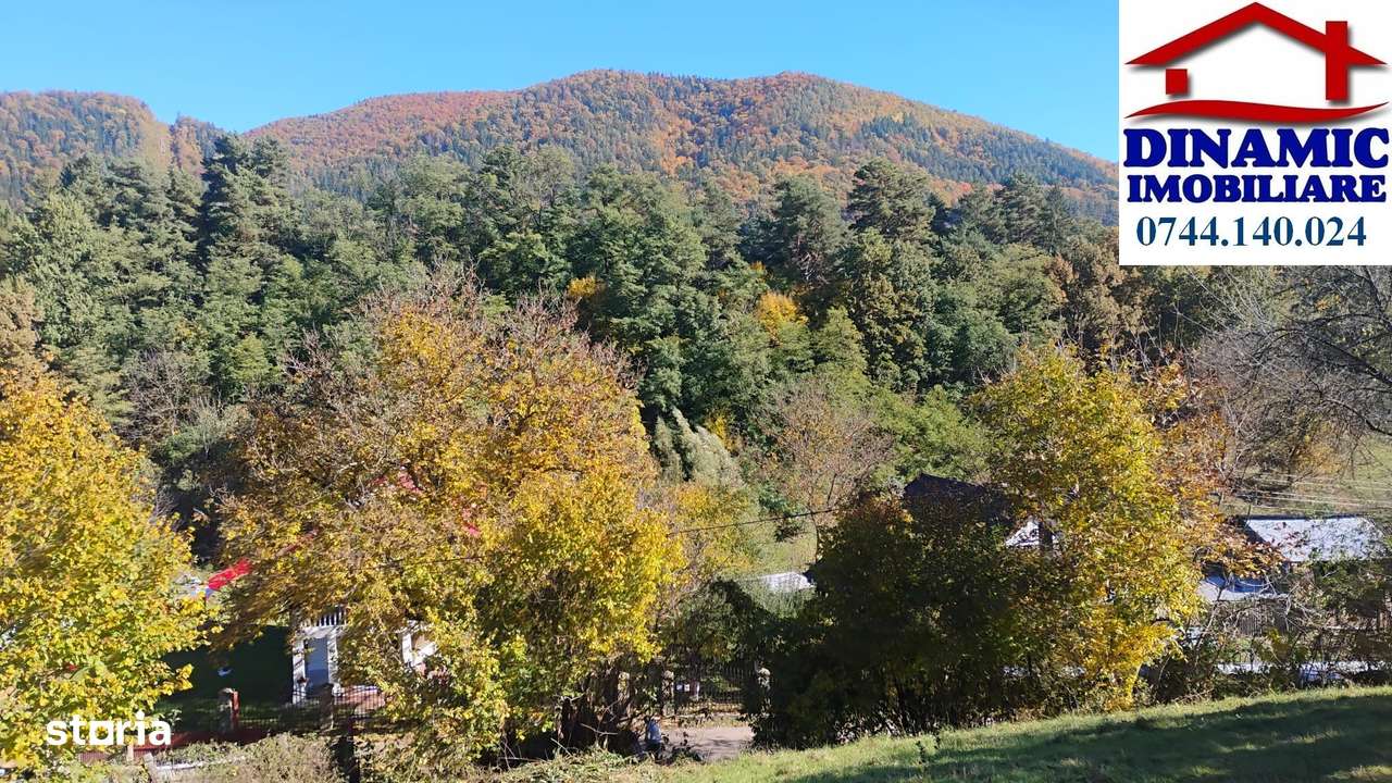 3600 mp teren intravilan, sat Bistrita, 16 Euro/mp-4