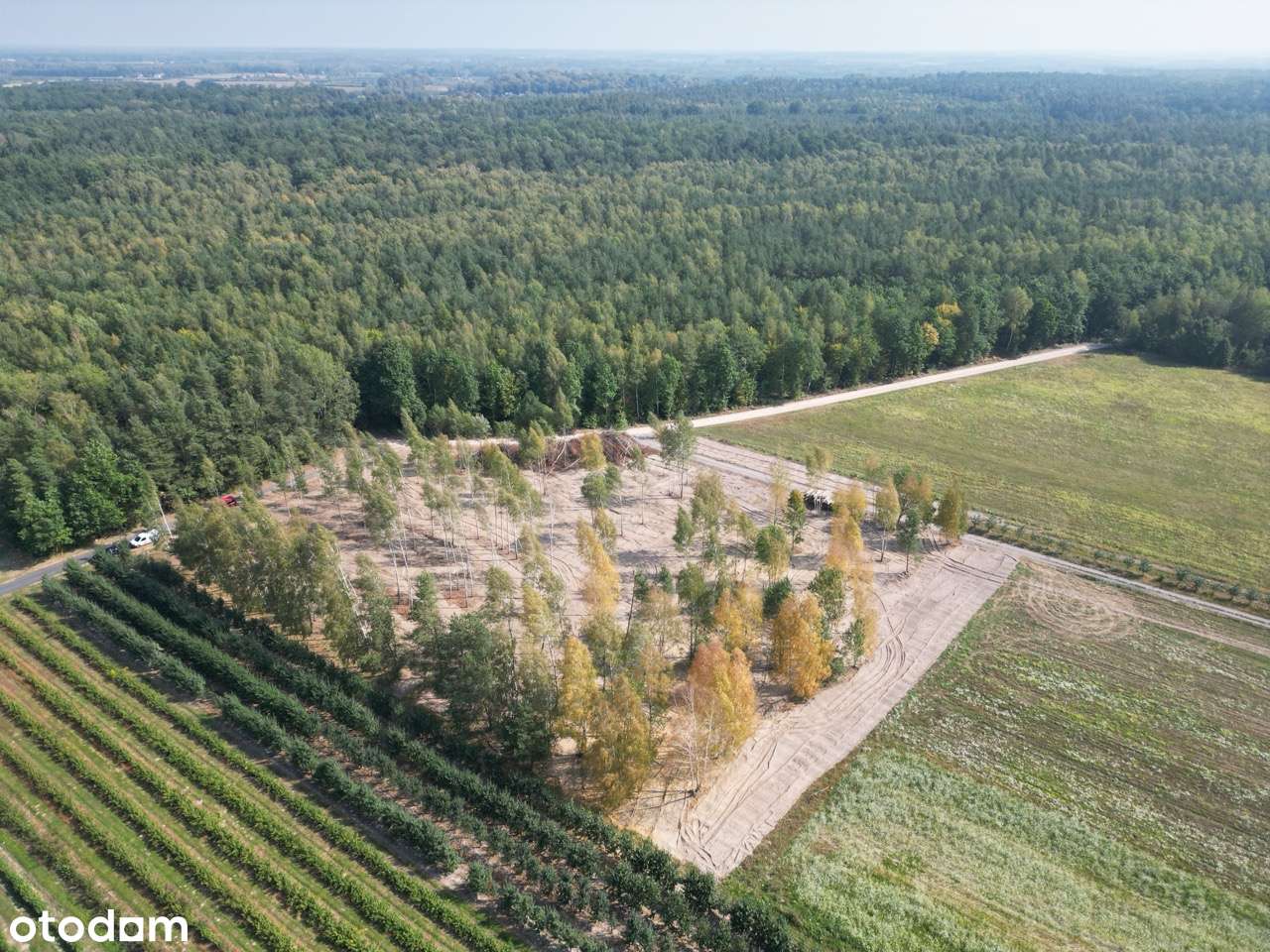 Fajne miejsce na dom blisko Grodziska Mazowieckiego-0