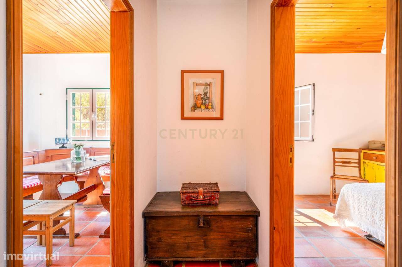 Moradia em Farinha Branca, Montargil-2