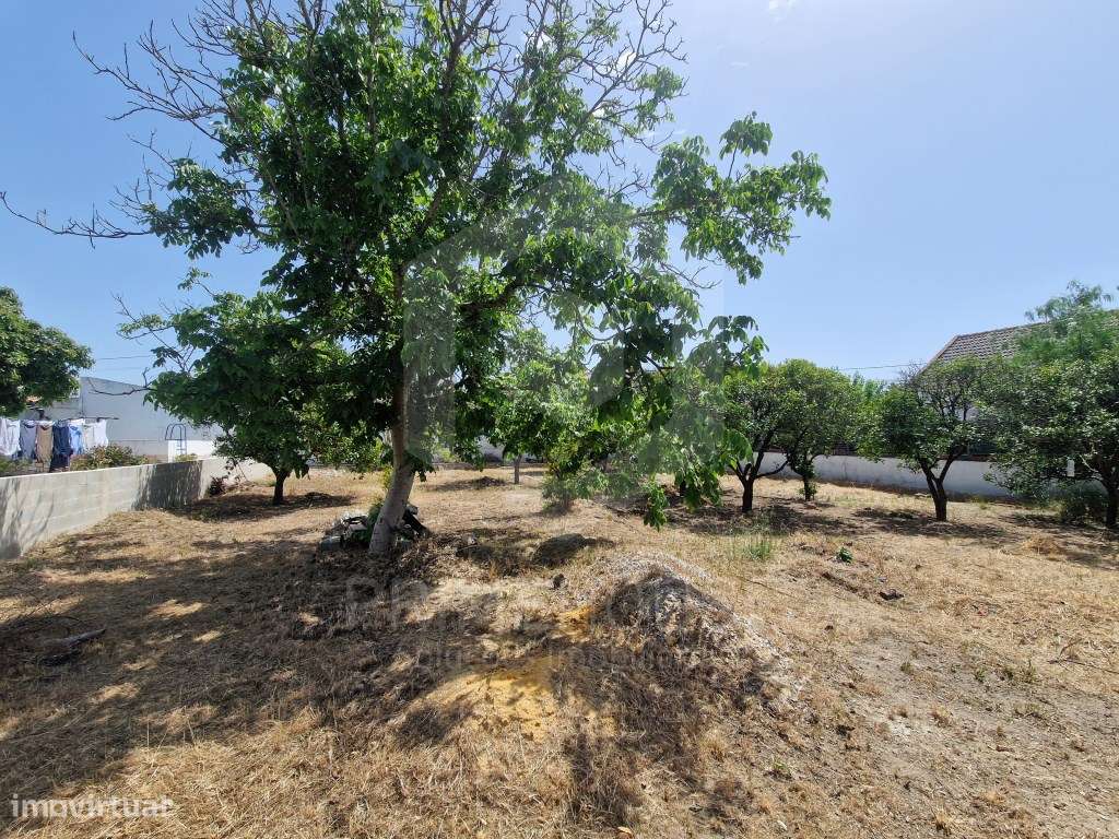 Terreno Urbano Brejos de Azeitão-6
