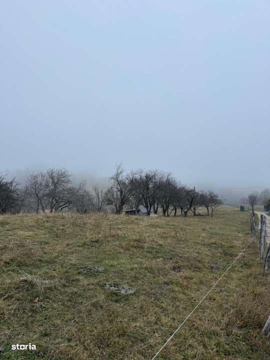 Teren Poiana Marului -Zarnesti -Brasov-8