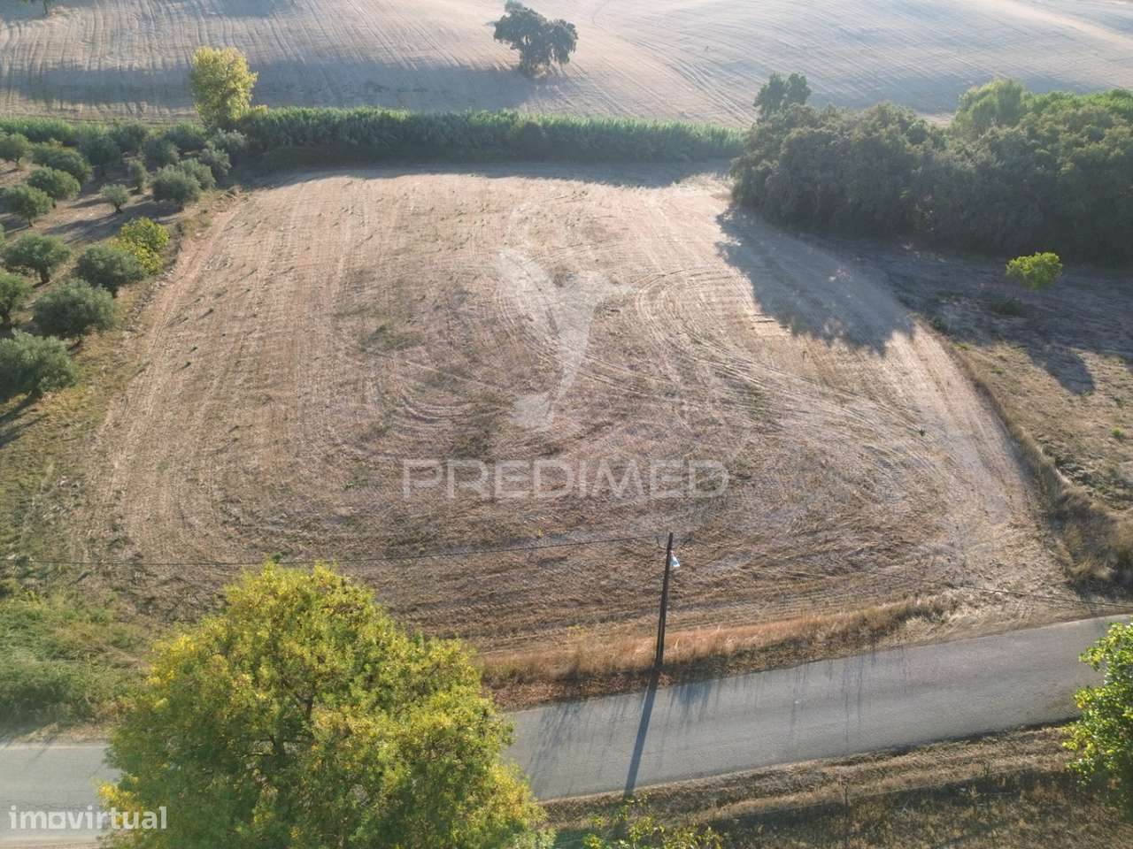 Terreno Rústico em Nabais – Santarém | 10.800 m² - Grande imagem: 4/16