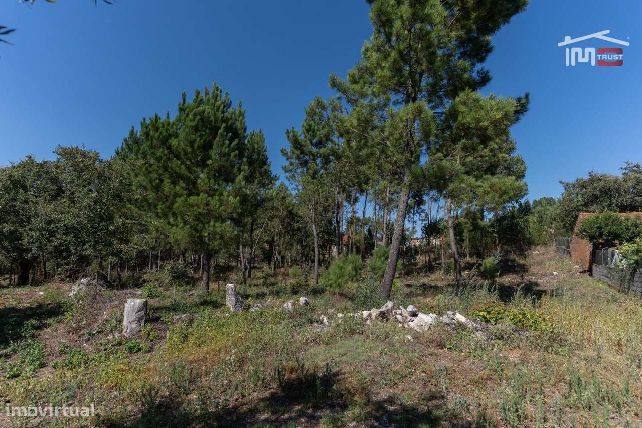 TERRENO COM AREA DE 3870 M2 UMA PARTE PARA CONSTRUÇÃO EM CASAL VELH... - Grande imagem: 5/9