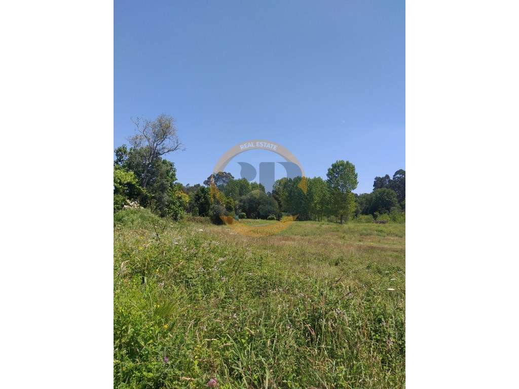 Terreno urbano. (Excelente oportunidade para investidores ) - Grande imagem: 3/15