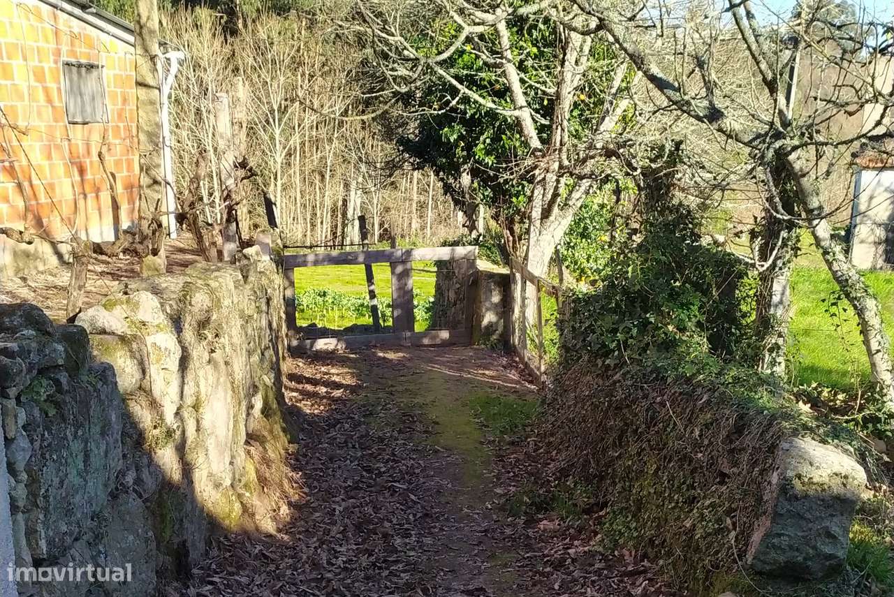 Moradia T0 Venda em Carvalhais e Candal,São Pedro do Sul-8