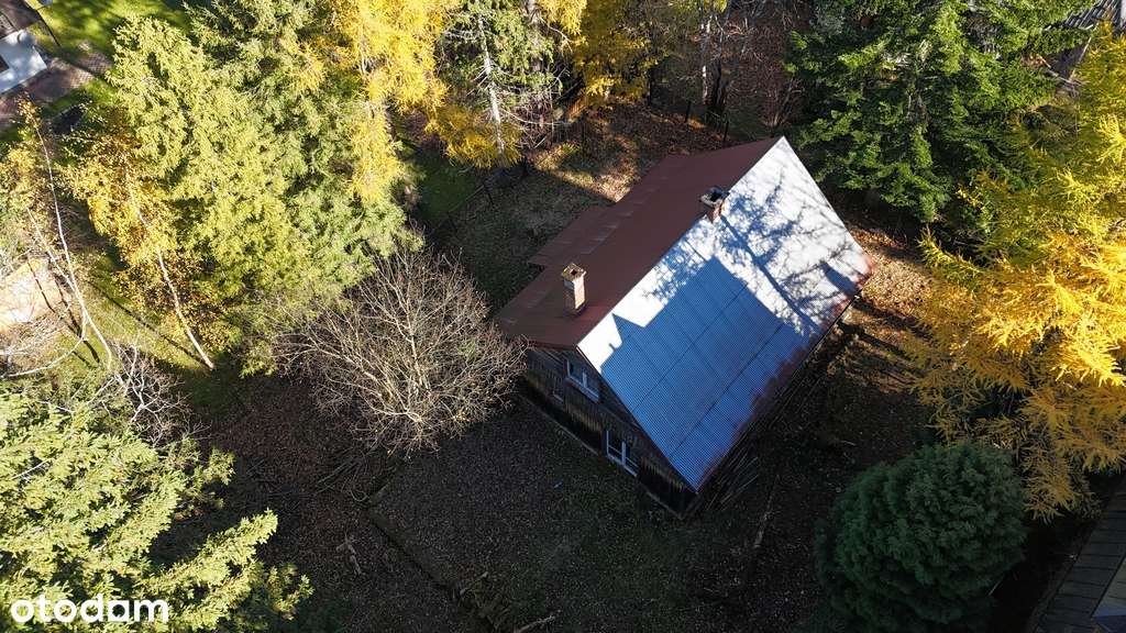 Działka z domem do remontu przy Parku narodowym-0