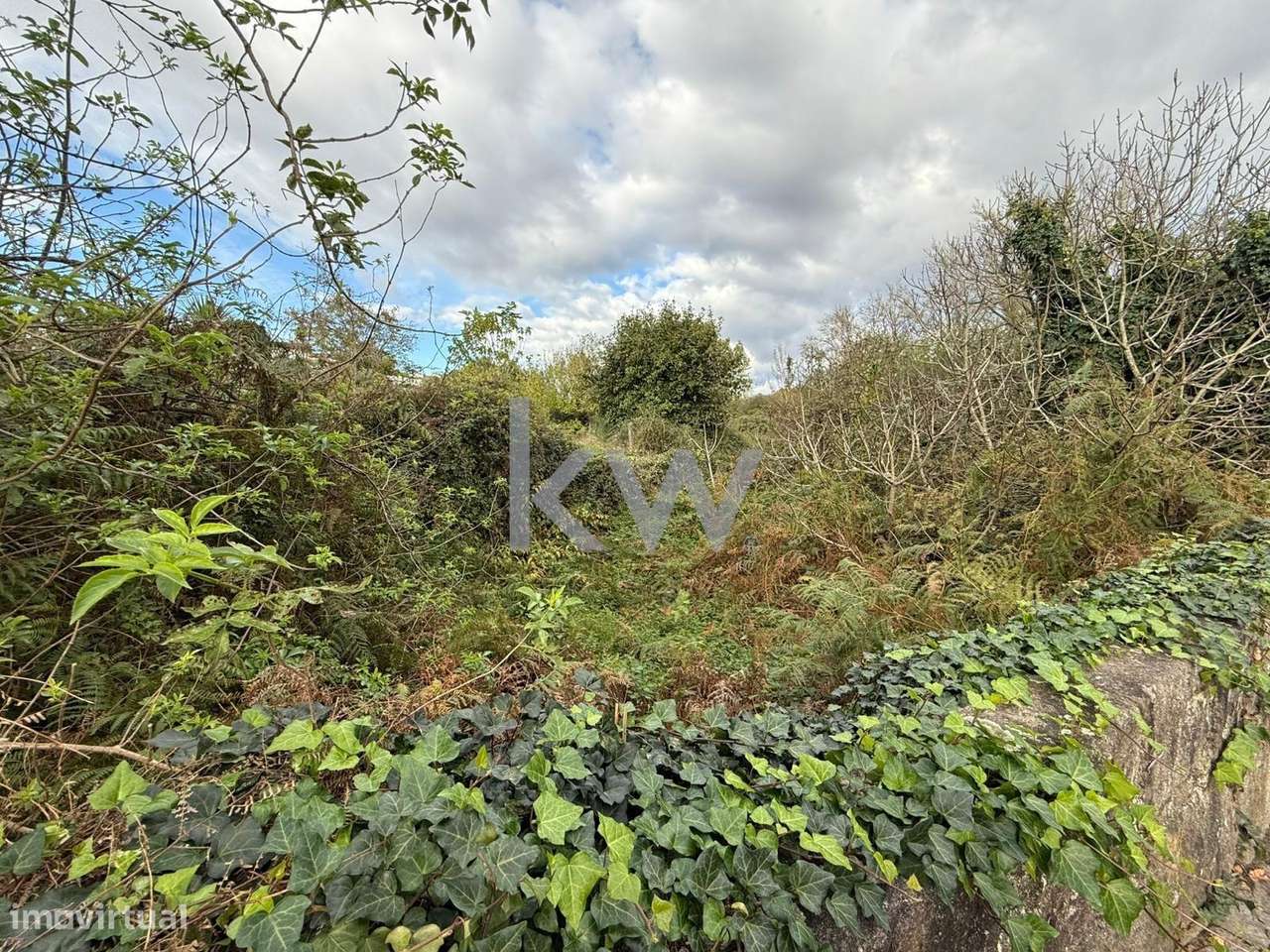 Terreno para venda em AZEVEDO de CAMPANHÃ - Grande imagem: 2/16