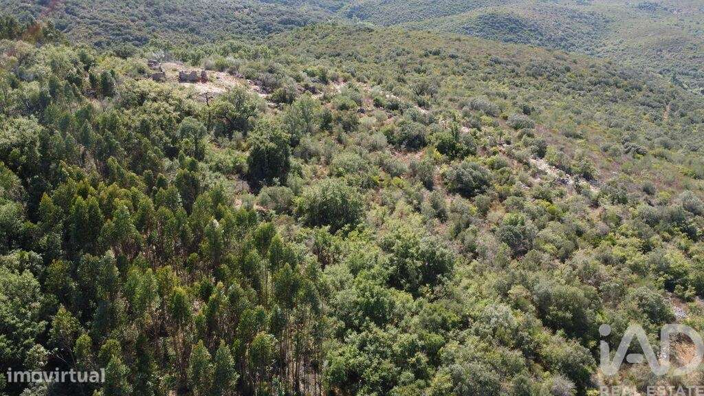 Terreno em Freixianda, Ribeira do Fárrio e Formigais de 15939,00 m2 - Grande imagem: 5/17