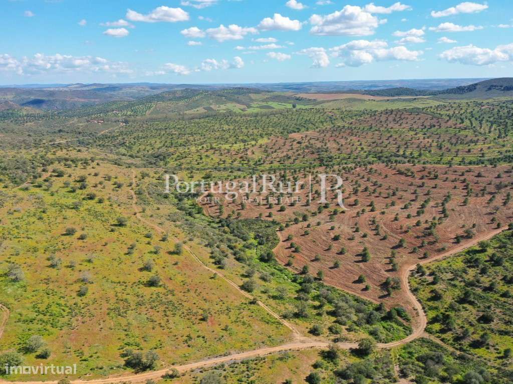 Herdades de Caça com 1300 Hectares, junto do rio Guadiana-12