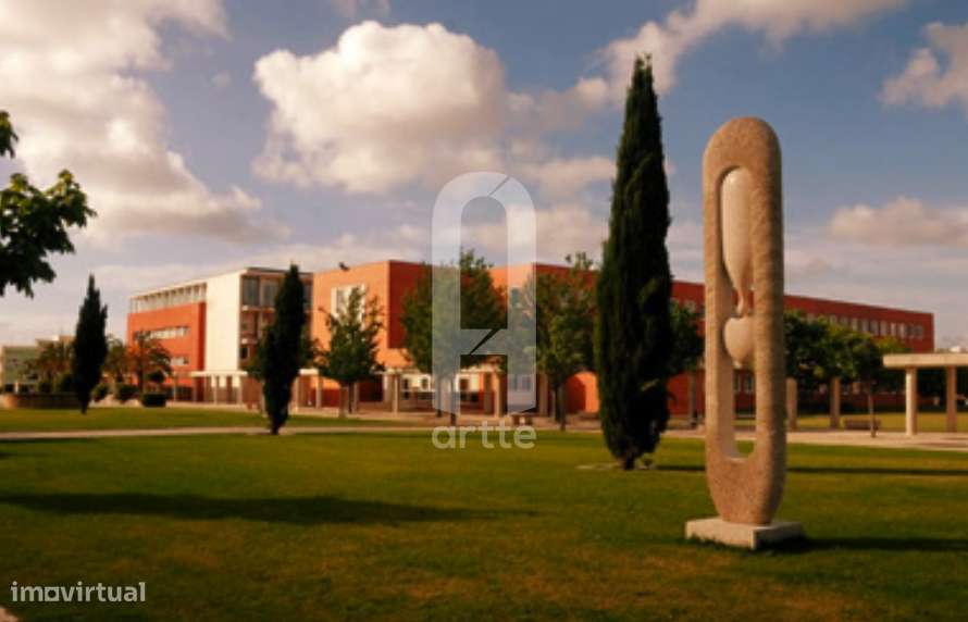 Apartamento T2 Gafanha da Nazaré-6