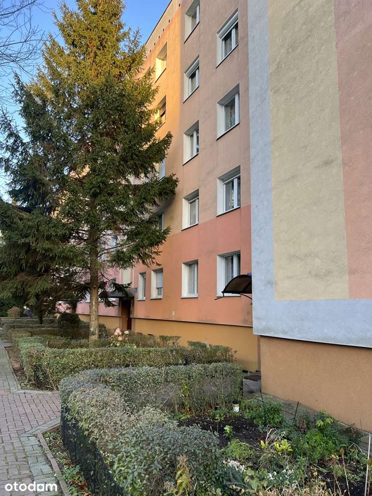 Żary ul. Szymanowskiego (spółdzielcze własnościowe prawo do lokalu)-18