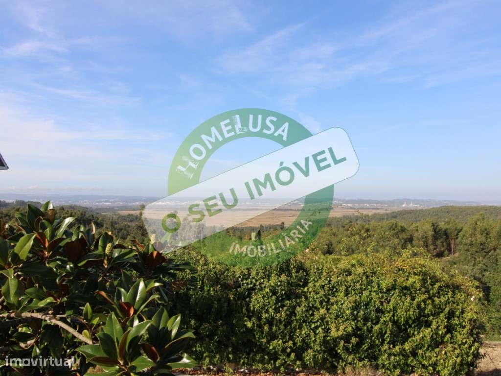 Terreno com três mil e setecentos metros quadrados no Paião. - Grande imagem: 2/12