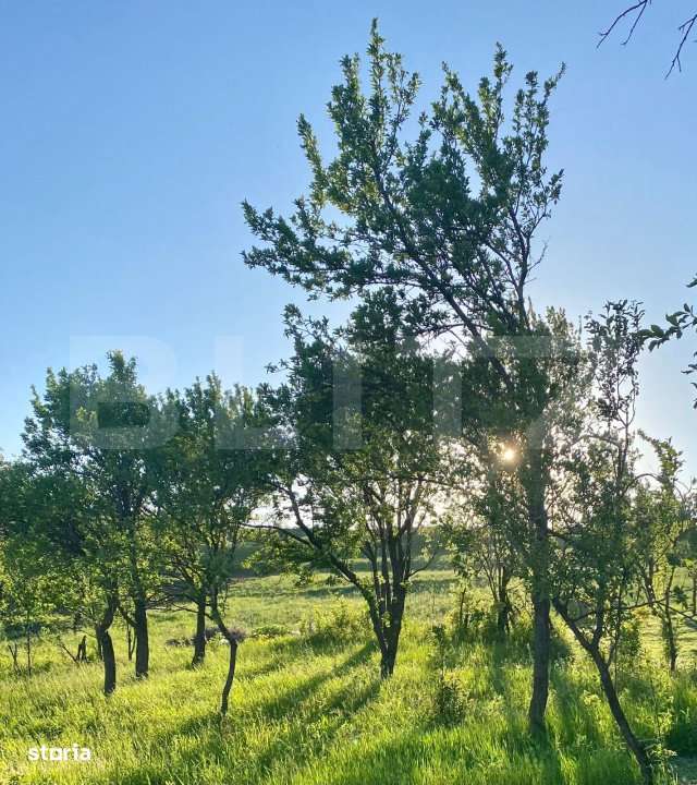 Casa  cu 10000mp de teren in Buza, la 50 km de Cluj-Napoca - Imagine principală: 4/12