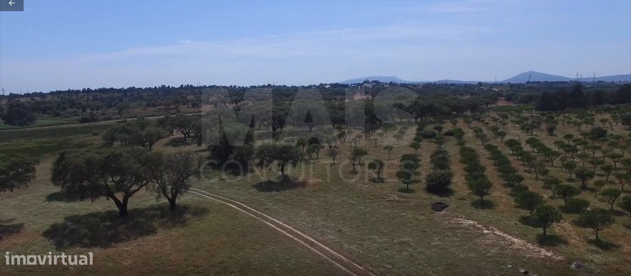 Herdade Quinta da Mourisca em Setúbal | Setúbal, Sado - Grande imagem: 1/6