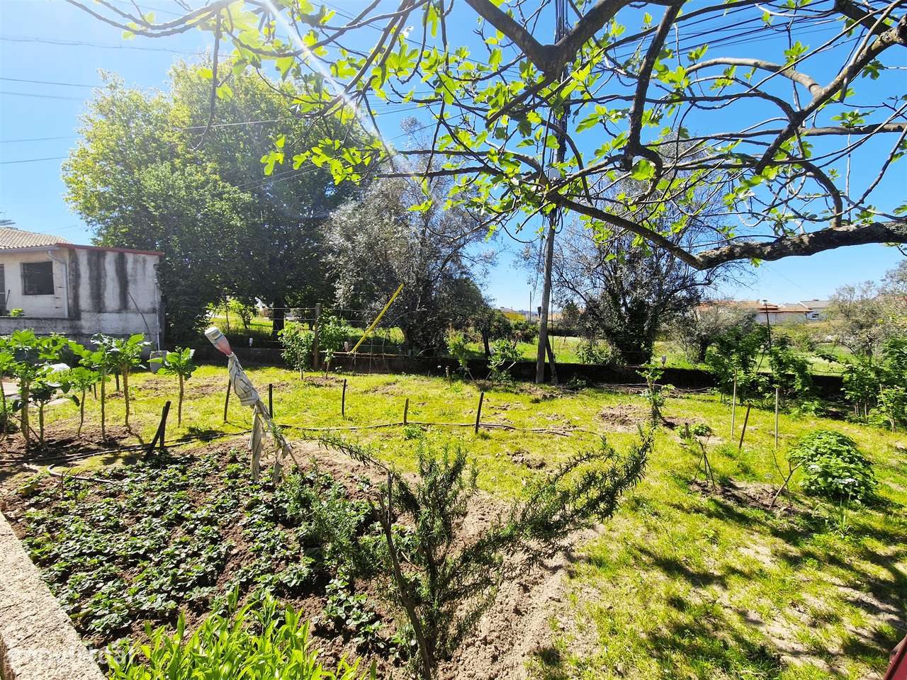 Moradia Isolada T4 Venda em Repeses e São Salvador,Viseu - Grande imagem: 3/59