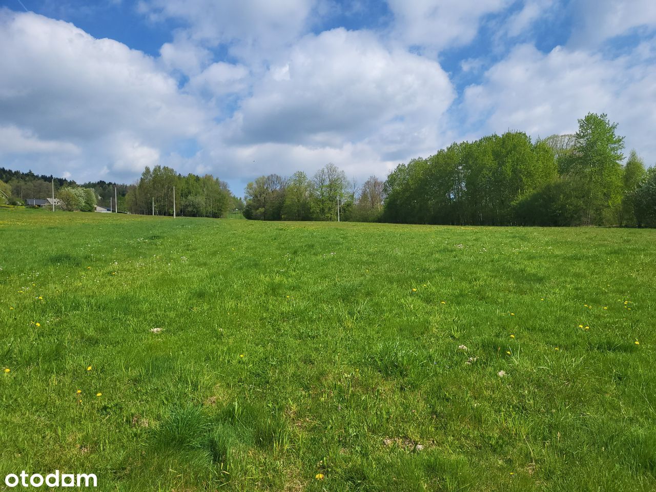 4x Działka budowlana 30 arów - Rupniów gm.Limanowa