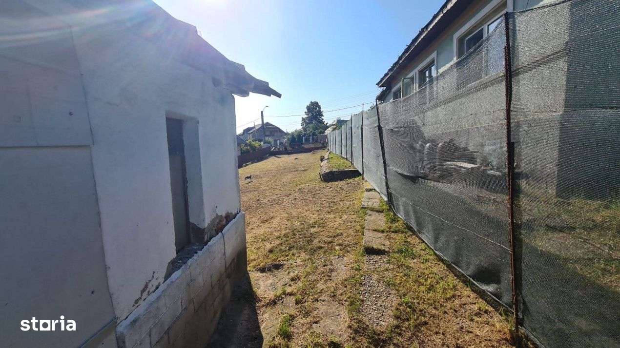 Teren Balotesti, suprafata = 908 mp - Imagine principală: 5/5