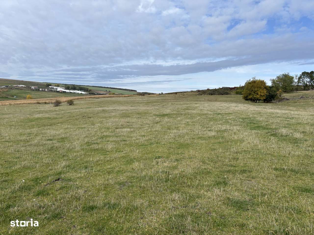 Teren Dealul Fanatelor-0